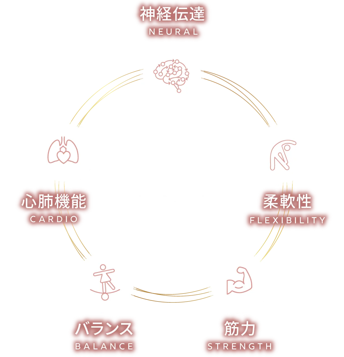 マシンピラティスの特徴